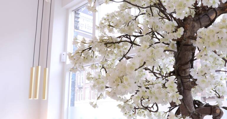 PRP Vampire Facelift met gratis Microneedling add-on